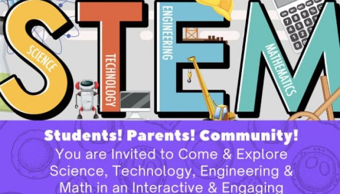 stem
